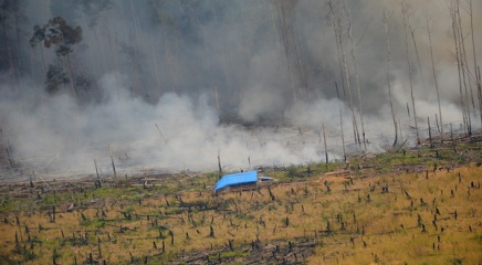 Pesawat Modifikasi Cuaca Sebar 55,6 Ton Garam 